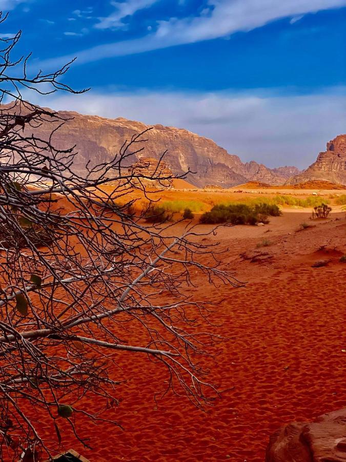 Sand And Stone Camp - Wadi Rum Desert Exterior photo