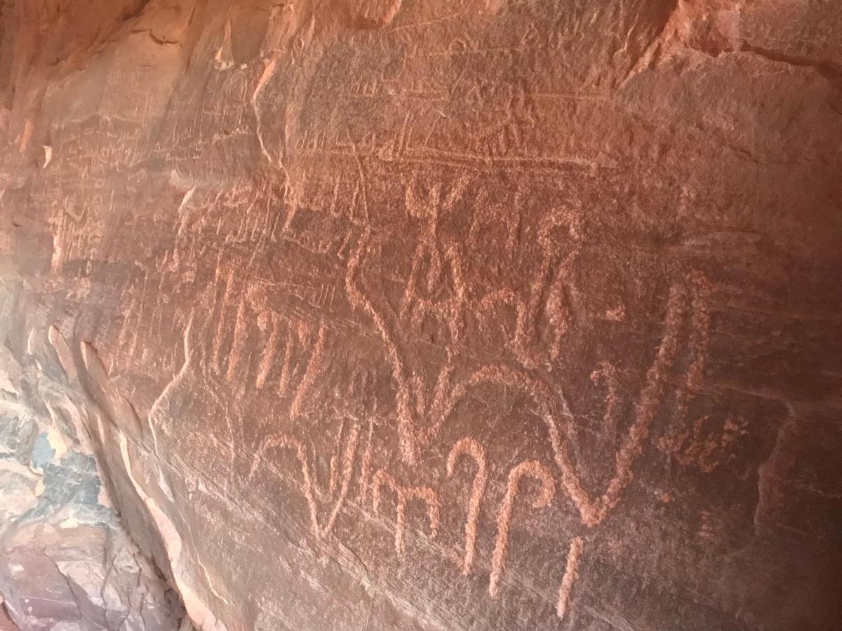 Sand And Stone Camp - Wadi Rum Desert Exterior photo