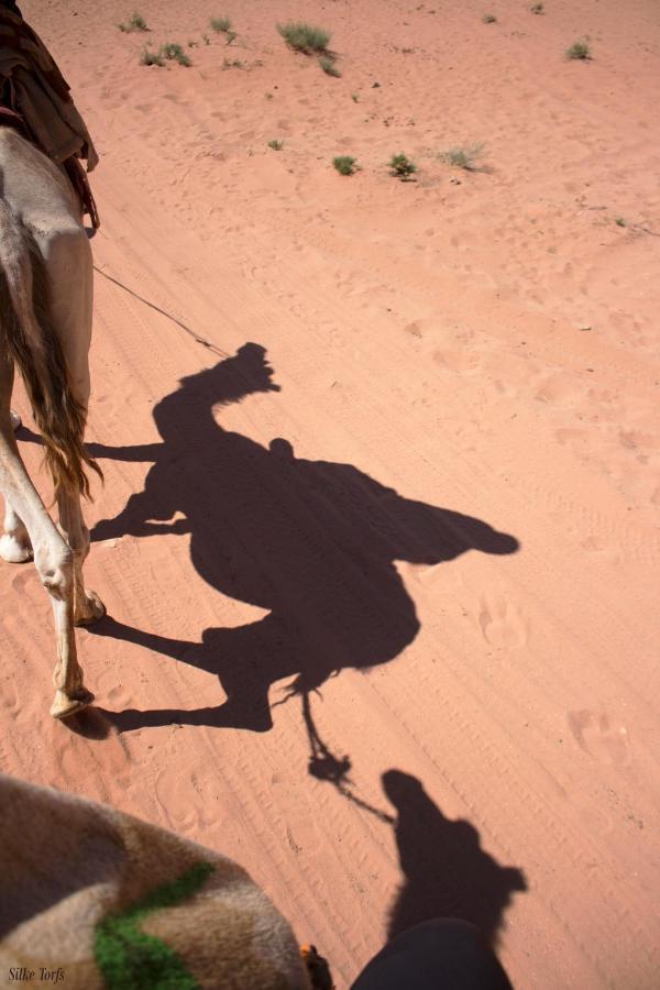 Sand And Stone Camp - Wadi Rum Desert Exterior photo